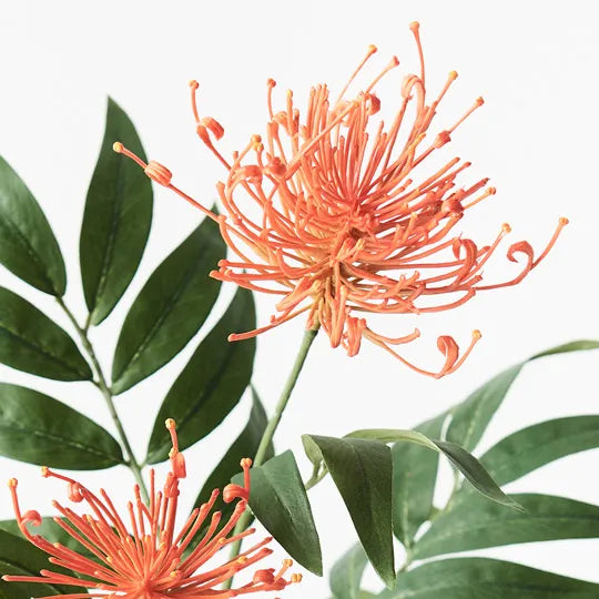 Grevillea Spray Orange 74cm Pack of 12