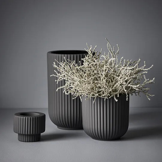 Santolina Bush Grey 21cm - Pack of 12