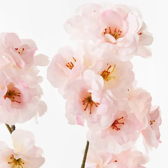 Blossom Apple Light Pink 99cm Pack of 12