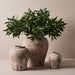 Pot Herama Antique Copper 27cm x 24cm Pack of 2