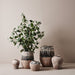 Pot Herama Antique Copper 27cm x 24cm Pack of 2
