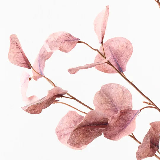 Eucalyptus Spray Dusty Pink 96cm Pack of 12