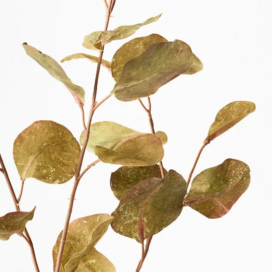 Eucalyptus Spray Green 96cm Pack of 12