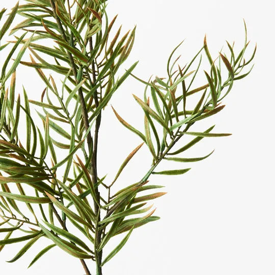 Grevillea Leaf Spray Green 81cm Pack of 12