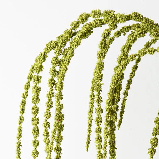 Amaranthus Spray Green 127cm Pack of 12