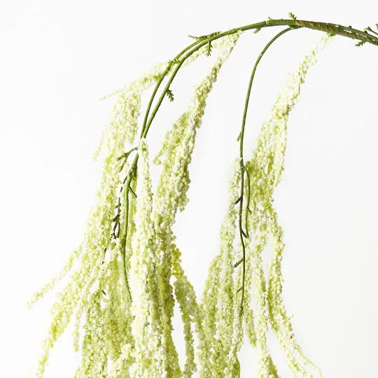 Amaranthus Spray Cream Green 172cm Set of 12