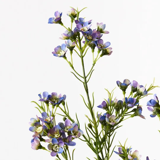 Wax Flower Spray Purple 66cm Set of 12