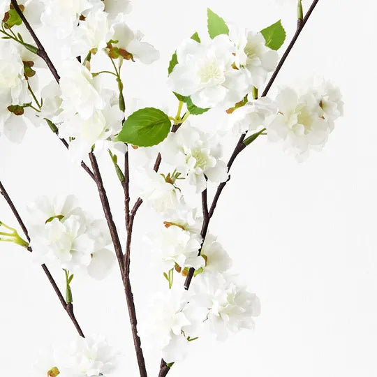 Blossom Cherry White 90cm Set of 12