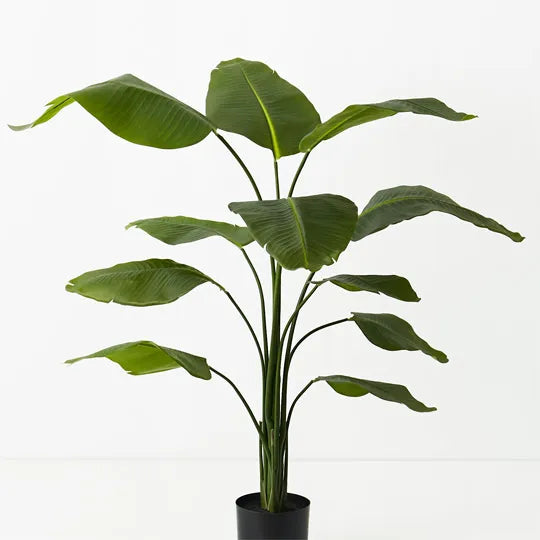 Bird of Paradise Plant Green 150cm Set of 2