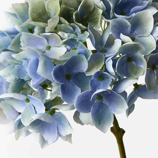Hydrangea Light Blue 47cm Set of 12