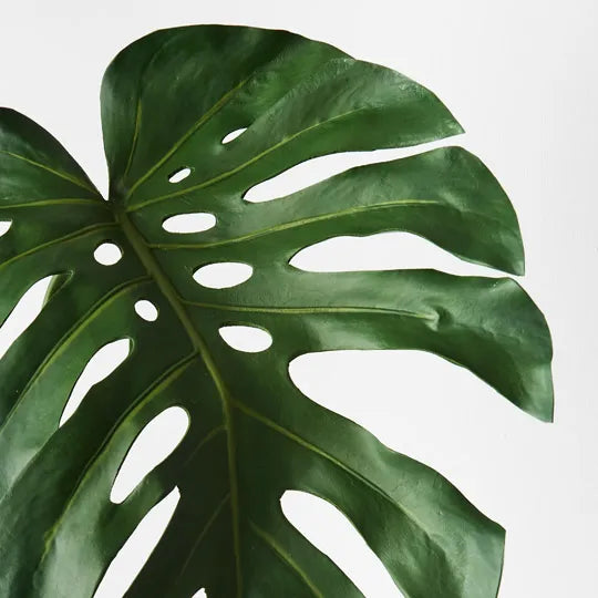 Monstera Leaf Green 76cm Set of 6