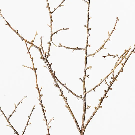 Twig Spray Brown 86cm Set of 12