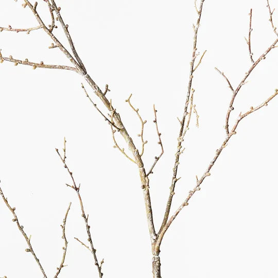 Twig Spray Brown 127cm Set of 12