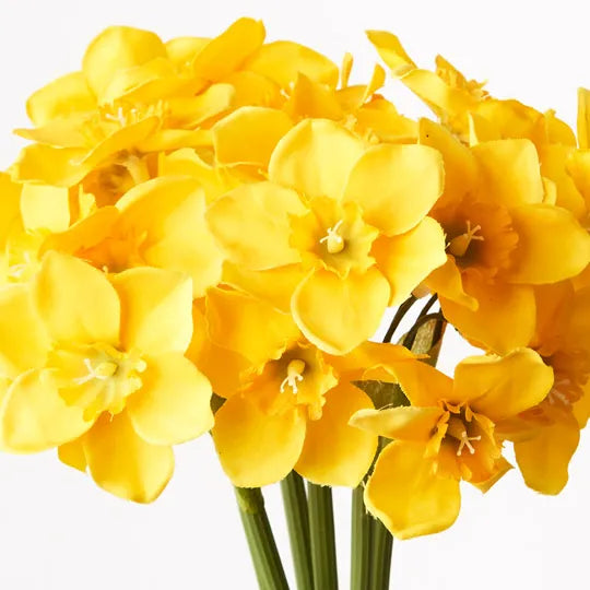 Narcissus Bouquet Yellow 38cm Set of 12