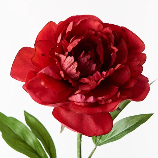 Peony Red 63cm Set of 12