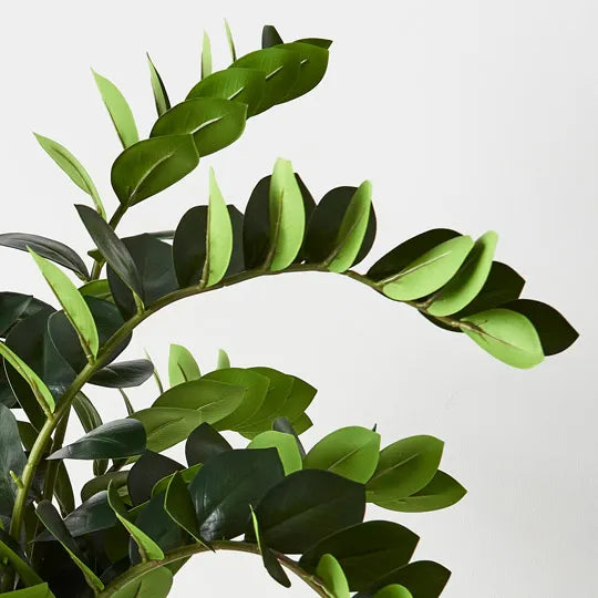 Zanzibar Gem Green 72cm Set of 2
