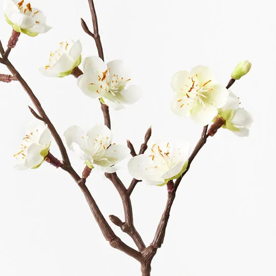 Blossom Plum White 50cm Set of 24