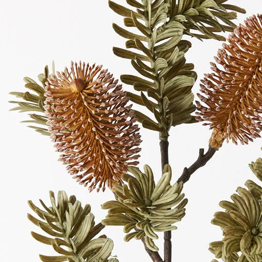 Banksia Spray Coffee 66cm Set of 12