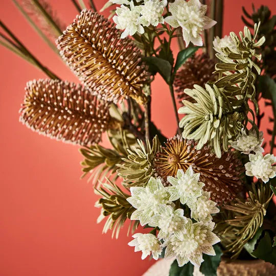 Banksia Spray Coffee 66cm Set of 12