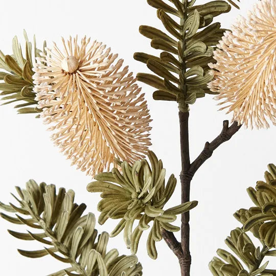 Banksia Spray Cream 66cm Set of 12