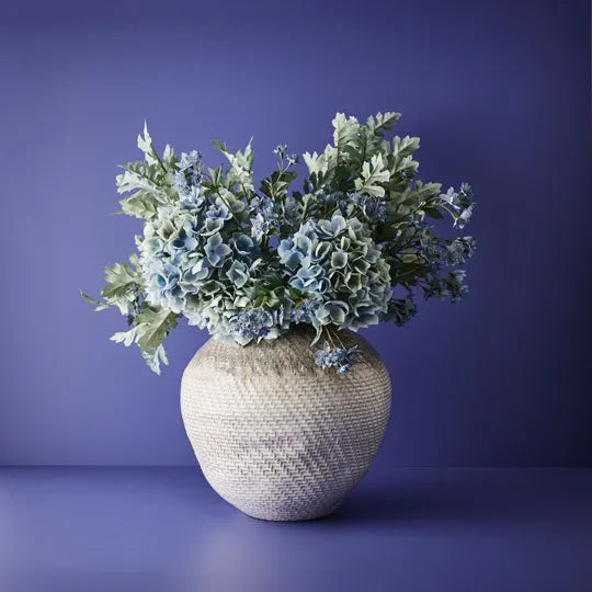 Astrantia Spray Dark Blue 49cm - Pack of 24