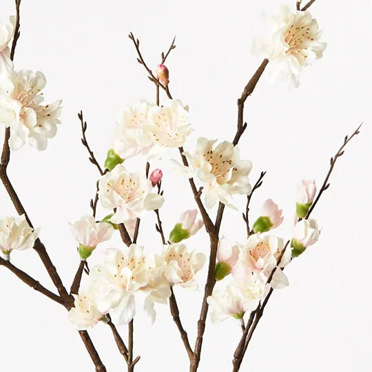 Blossom Plum Cream Pink 110cm Set of 12
