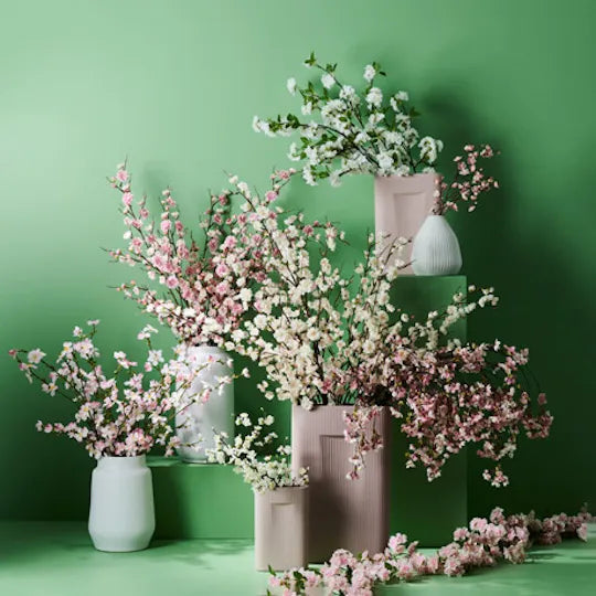 Blossom Plum Cream Pink 110cm Set of 12