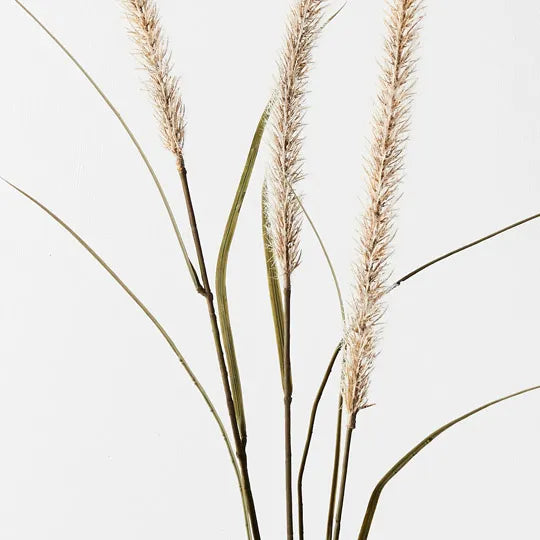 Fountain Grass Spray Cream 130cm Set of 12