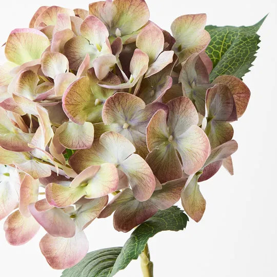 Hydrangea Eggplant Green 63cm Set of 12