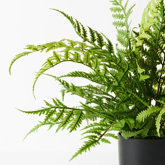 Fern Leather Plant UV Resistant Green 46cm Set of 4