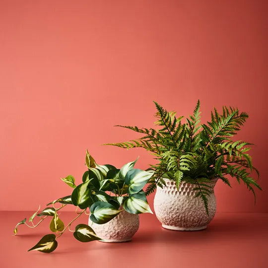 Fern Leather Plant UV Resistant Green 46cm Set of 4