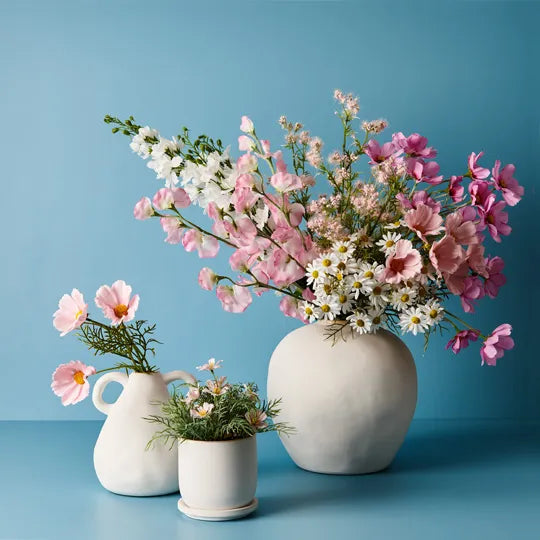 Cosmos Bush in Pot Light Pink 20cm Set of 6