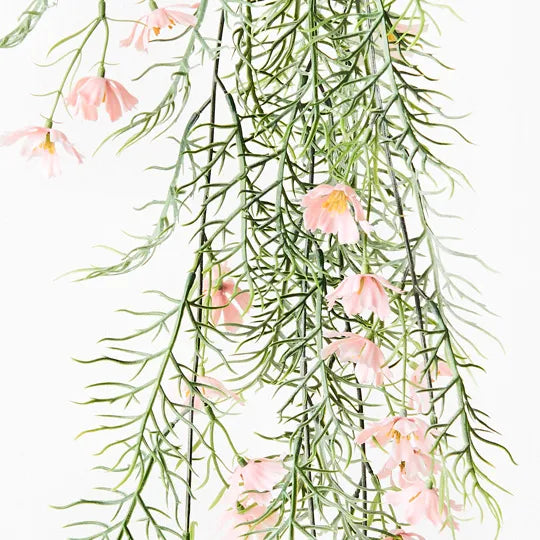 Cosmos Hanging Bush Light Pink 89cm Set of 6