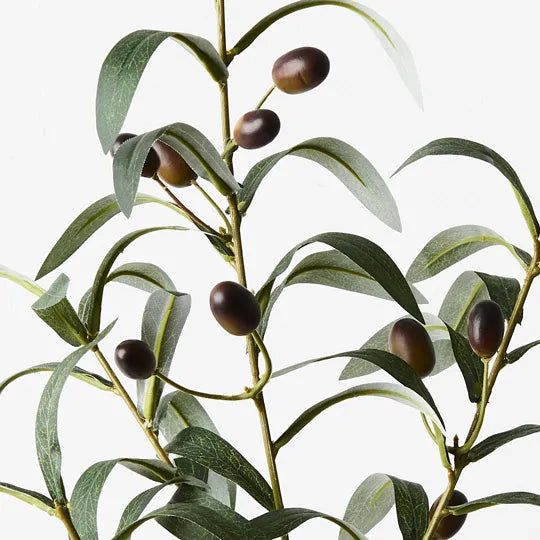 Olive Leaf Spray Green 72cm Set of 12