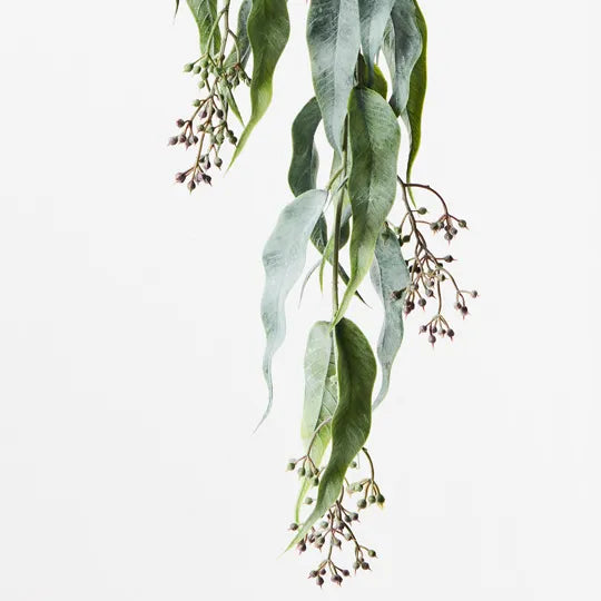 Eucalyptus Seed Hanging Bush Dark Green 74cm Set  of 6