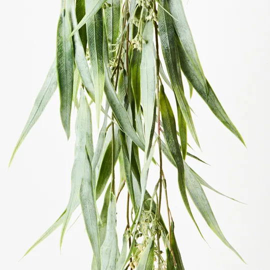 Eucalyptus Seed Hanging Bush Grey Green 96cm Set of 6