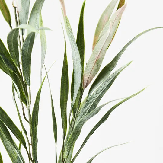 Eucalyptus Long Leaf Spray Green 84cm Set of 24