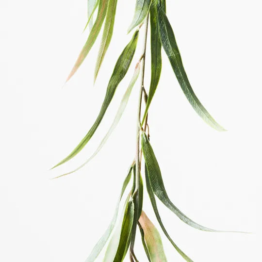 Eucalyptus Long Leaf Garland Green 180cm Set of 12
