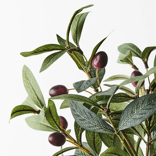 Olive Leaf Pick Grey Green 40cm Set of 12