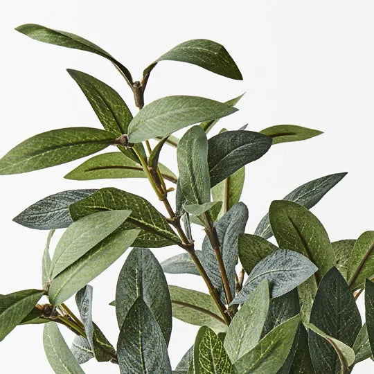 Olive Leaf Pick Without Fruits Grey Green 40cm Set of 12