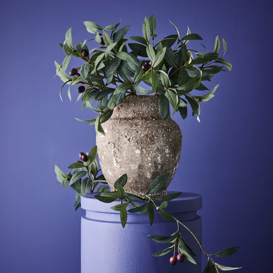 Olive Leaf Pick Without Fruits Grey Green 40cm Set of 12