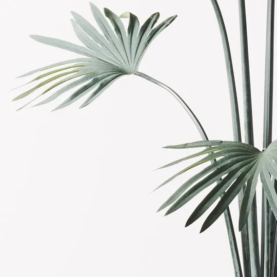 Palm Fan Plant Grey Green 150cm Set of 2