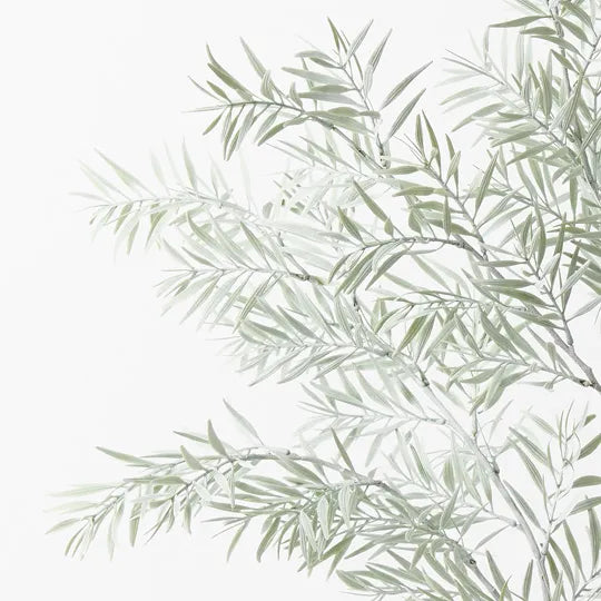 Acacia Tree Grey 122cm Set of 2