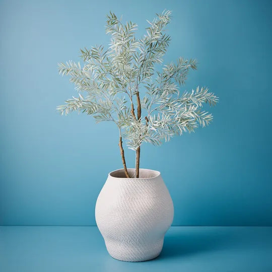 Acacia Tree Grey 122cm Set of 2
