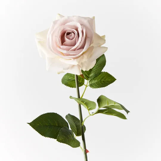 Rose Hannah Lavender Frost 75cm - Pack of 12