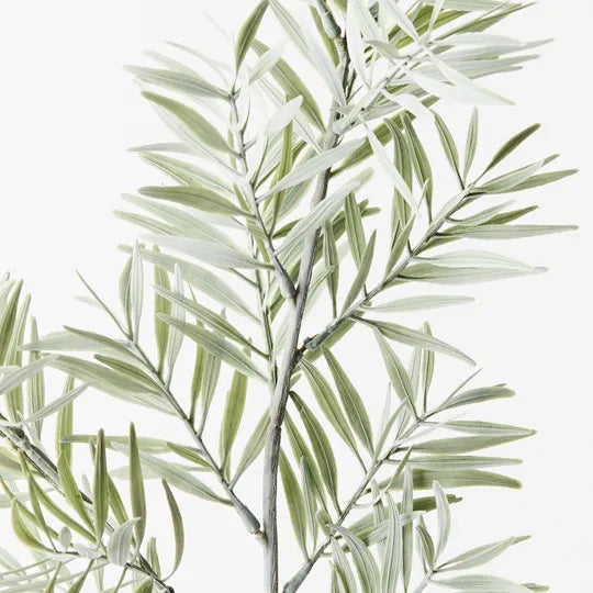 Acacia Leaf Spray Grey 91cm Set of 12