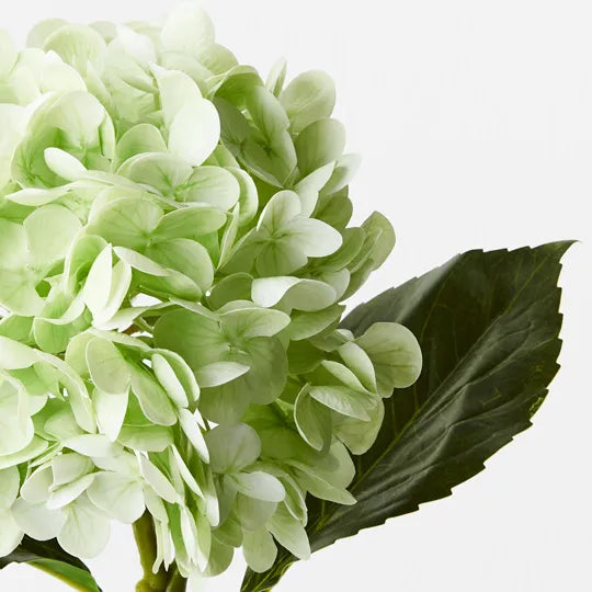 Hydrangea Light Green 49cm Set of 12