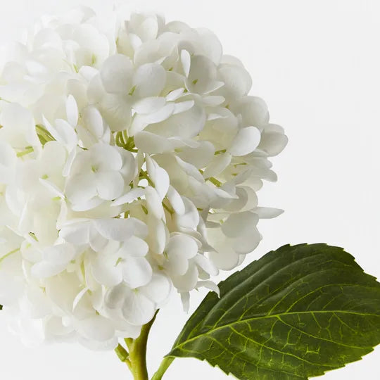 Hydrangea White 49cm Set of 12