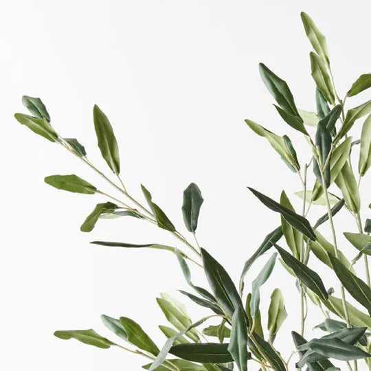 Olive Leaf Bush Green 58cm Set of 12
