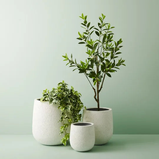Rok Oskar White Pot 55cm - Set of Three